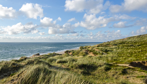 Dunes on Sylt