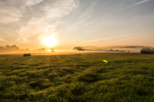 Foggy Sunrise