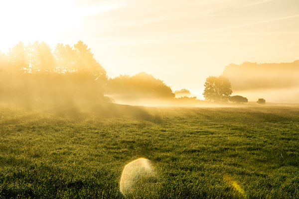 Beautiful sunrise in rural landscape with sun rays shining through the morning fog  Print