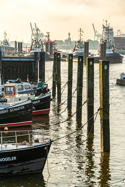 Boats in the historic museum harbor in Hamburg Övelgönne at the Elbe River at sunrise  Print