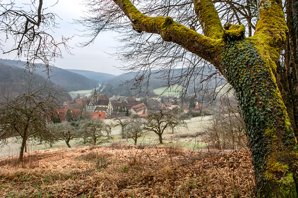 Landscape around the ancient monastery of Bebenhausen in winter Print
