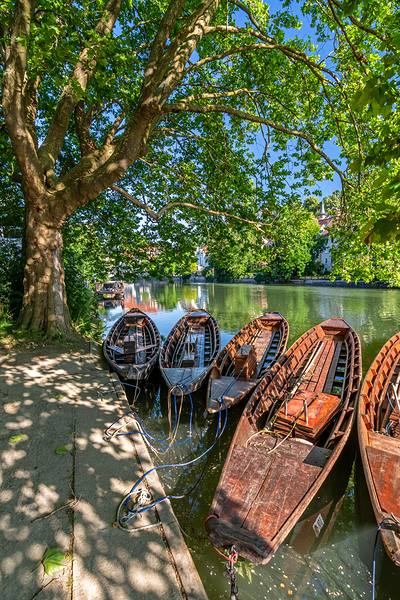 Traditional punt boats Stocherkahn at the pier at the Neckar River in Tübingen Germany Print