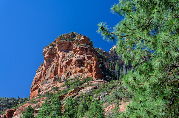 Red rock formation near Sedona in the United States Print