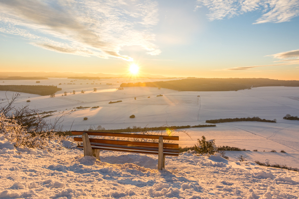 Winter Bench Print