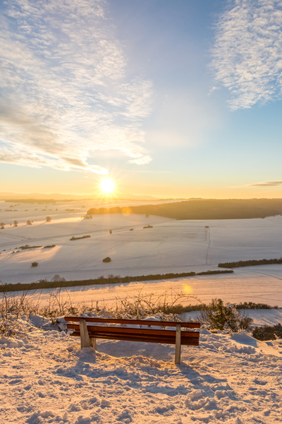 Winter View Print