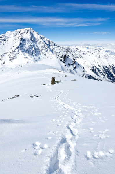Ski Tour Print