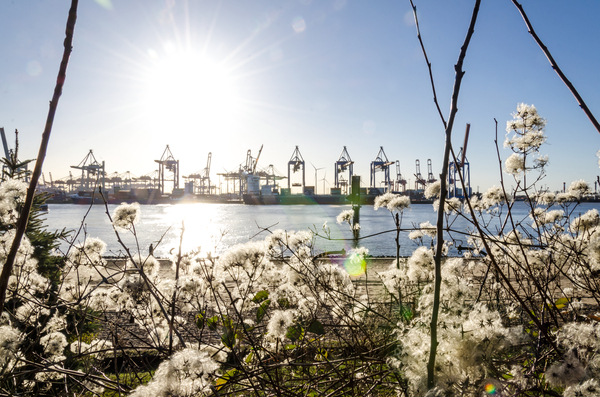Elbe River in Hamburg  Print