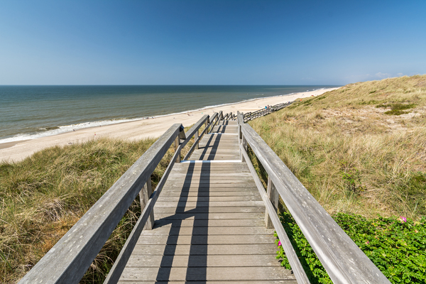 Foot Bridge in the Dunes Print