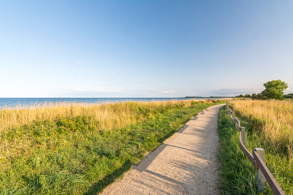 Footpath at the Baltic Sea Print