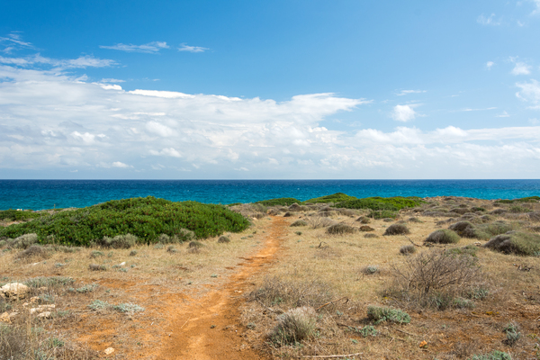 Mediterranean Ocean Trail Print