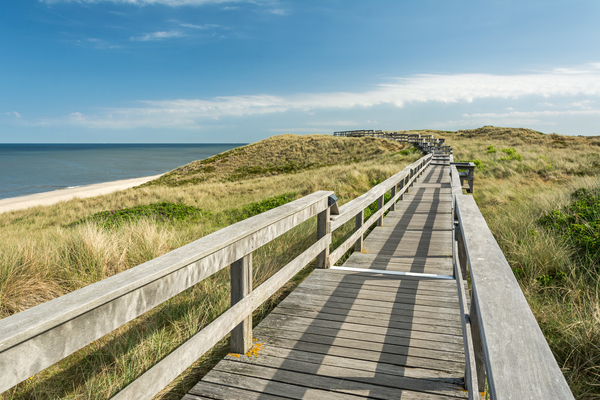 Talk a Walk in the Dunes Print