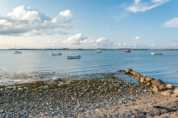 Beach at the Baltic Sea in Westerholz North Germany by caladoart