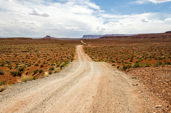 Dirt Road Print