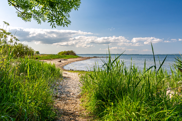 Scenic hiking trail alongside the Baltic Sea in Northern Germany Print