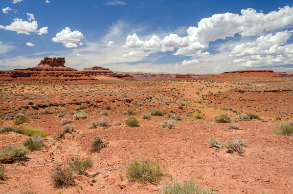 Red Desert Print