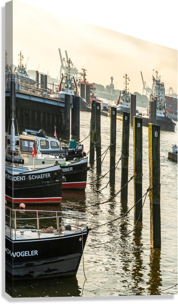 Boats in the historic museum harbor in Hamburg Övelgönne at the Elbe River at sunrise  Canvas Print