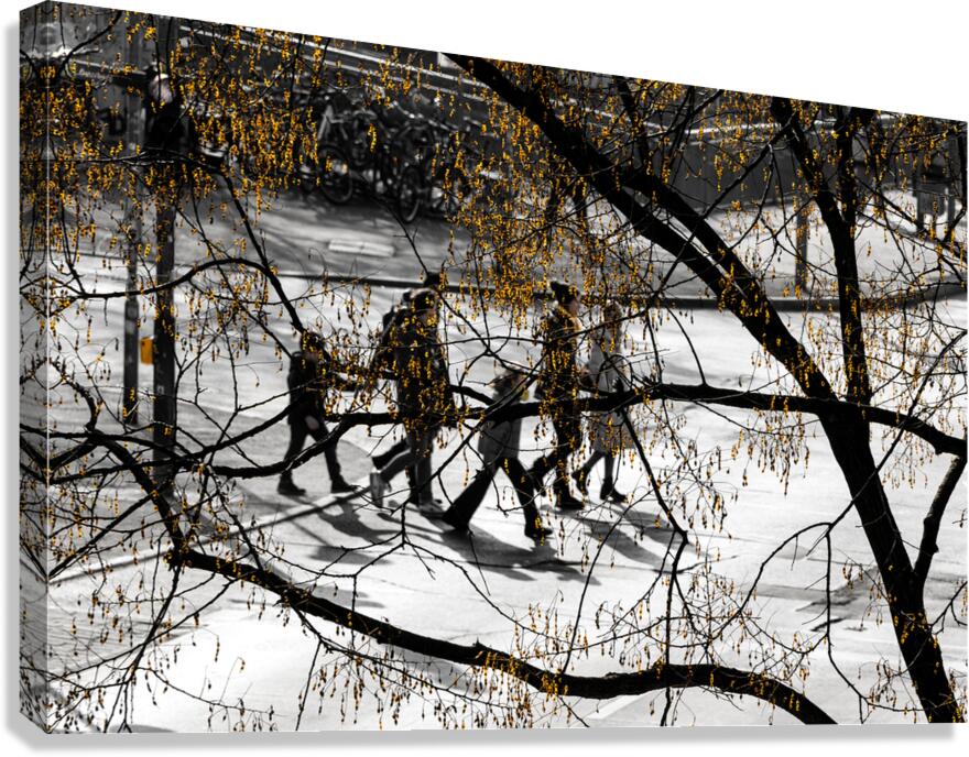 Organic Crossing Canvas Print