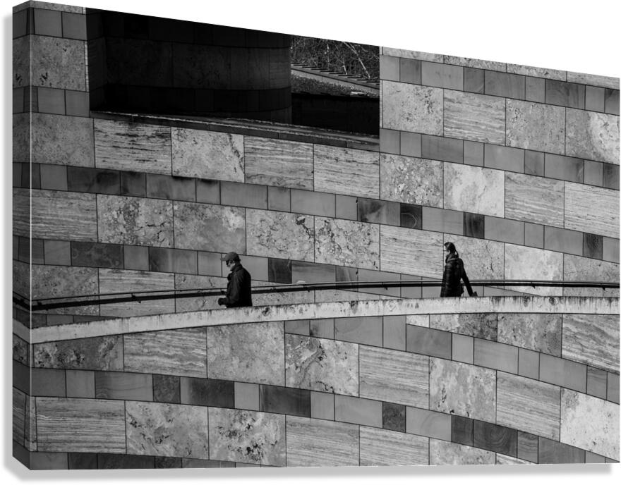 Lines Canvas Print