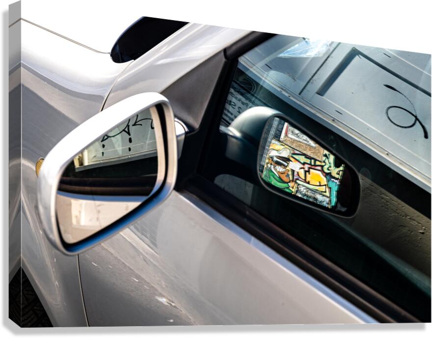 Double Mirror Canvas Print