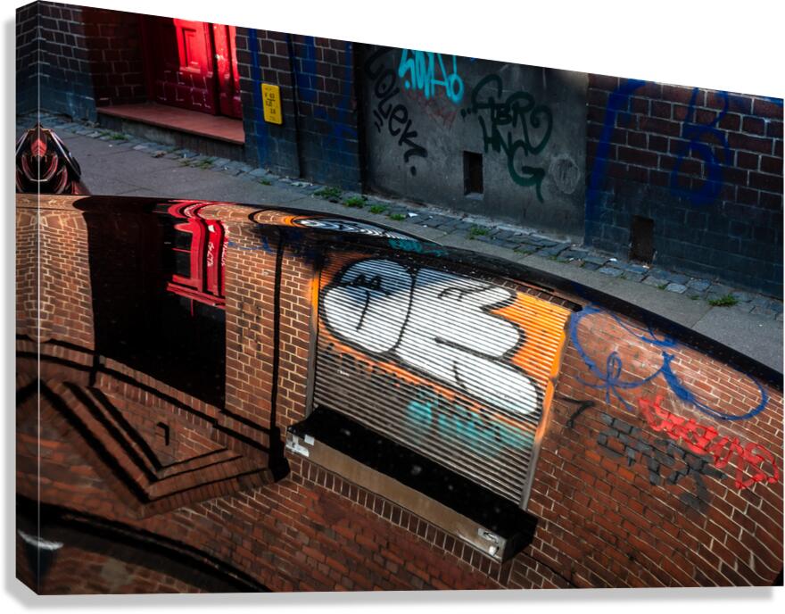 Continuous Reality  Canvas Print