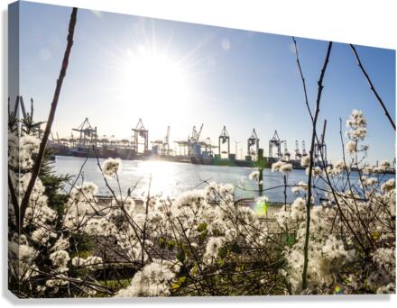 Elbe River in Hamburg  Canvas Print