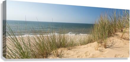 Dune Panorama  Canvas Print