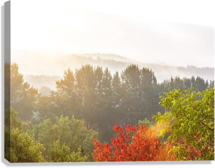 Autumn  Canvas Print