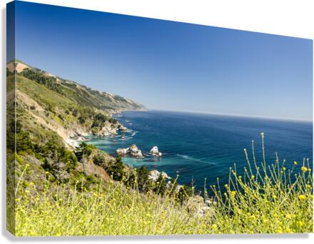 Pacific Bay Canvas Print