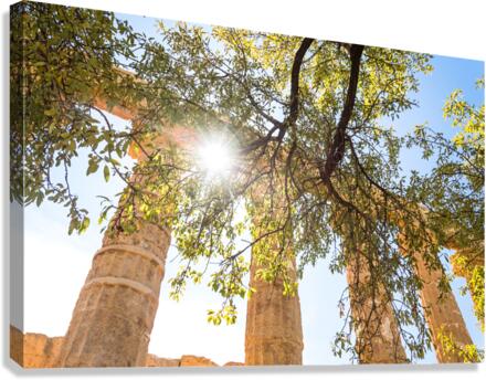 Temple Canvas Print