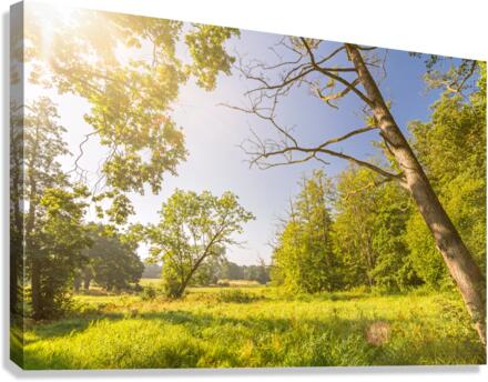 Park Canvas Print