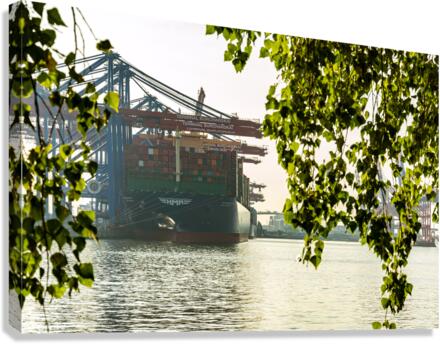 Harbor View Canvas Print