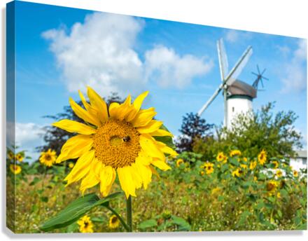 Windmill Garden Canvas Print