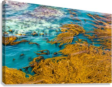 Sea Painting Canvas Print