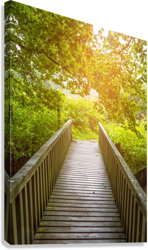 Forest Bridge Canvas Print