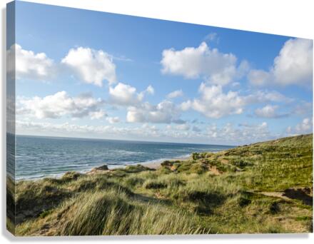 Dune Landscape Canvas Print