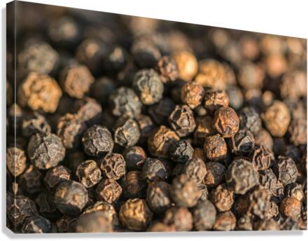Pepper  Canvas Print
