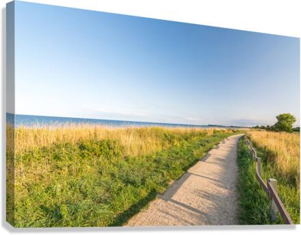 Footpath at the Baltic Sea Canvas Print