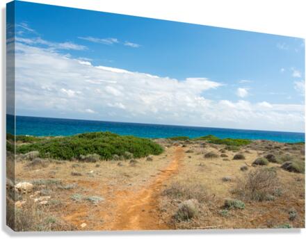 Mediterranean Ocean Trail Canvas Print