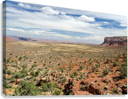Desert Landscape  Canvas Print
