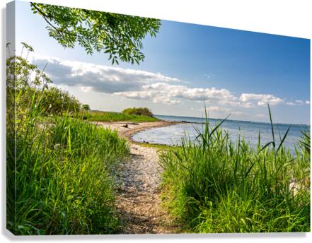 Scenic hiking trail alongside the Baltic Sea in Northern Germany Canvas Print