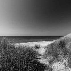 Black and white shot of dune landscape and ocean on the island of Sylt in North Germany
