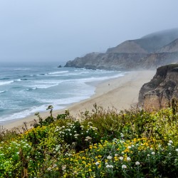 Secluded bay and beach at the Pacific Ocean in California on a foggy day