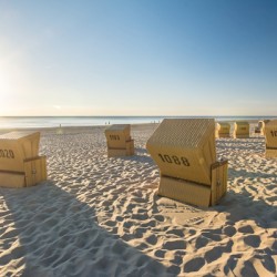 Beach Chairs at the Ocean