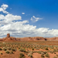 Desert Panorama