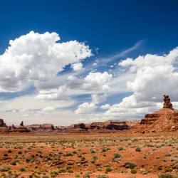 Desert Landscape