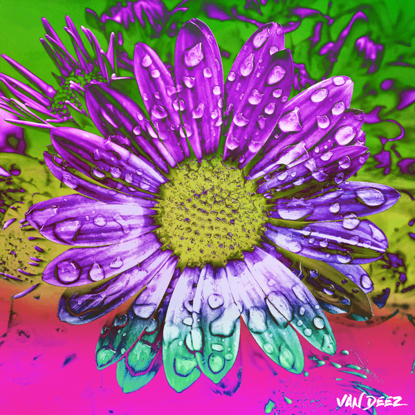 Sunflower Seeds by Van Deez Artworks