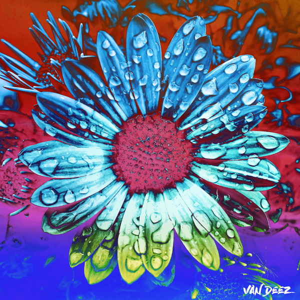 Sunflower Seeds by Van Deez Artworks