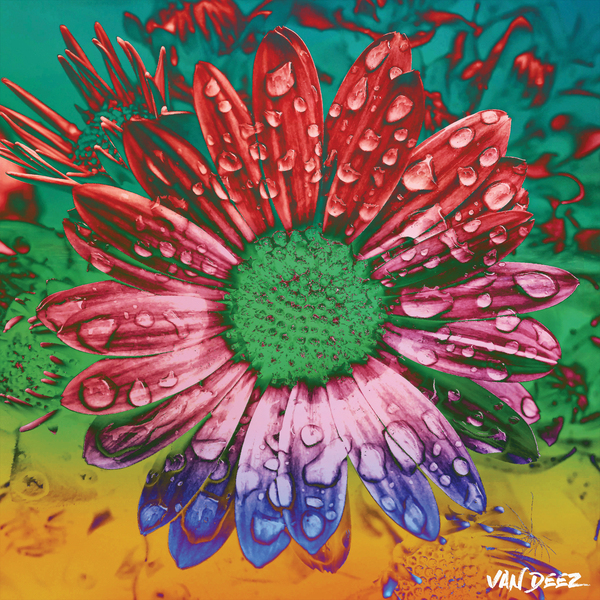 Sunflower Seeds by Van Deez Artworks