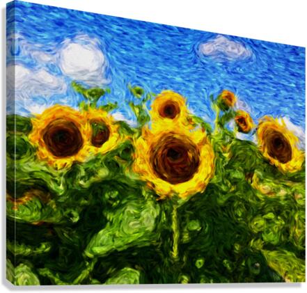 Sunflowers Canvas Print