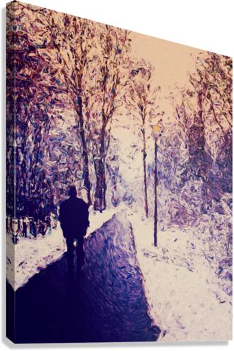 winter walk Canvas Print
